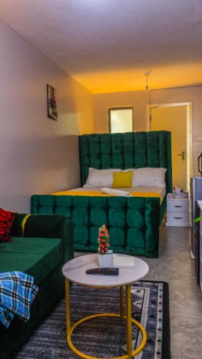 DefiniteHomes2 - Fully furnished studio apartment with a rooftop restaurant near JKIA Airport, SGR Terminus, Downtown Nairobi